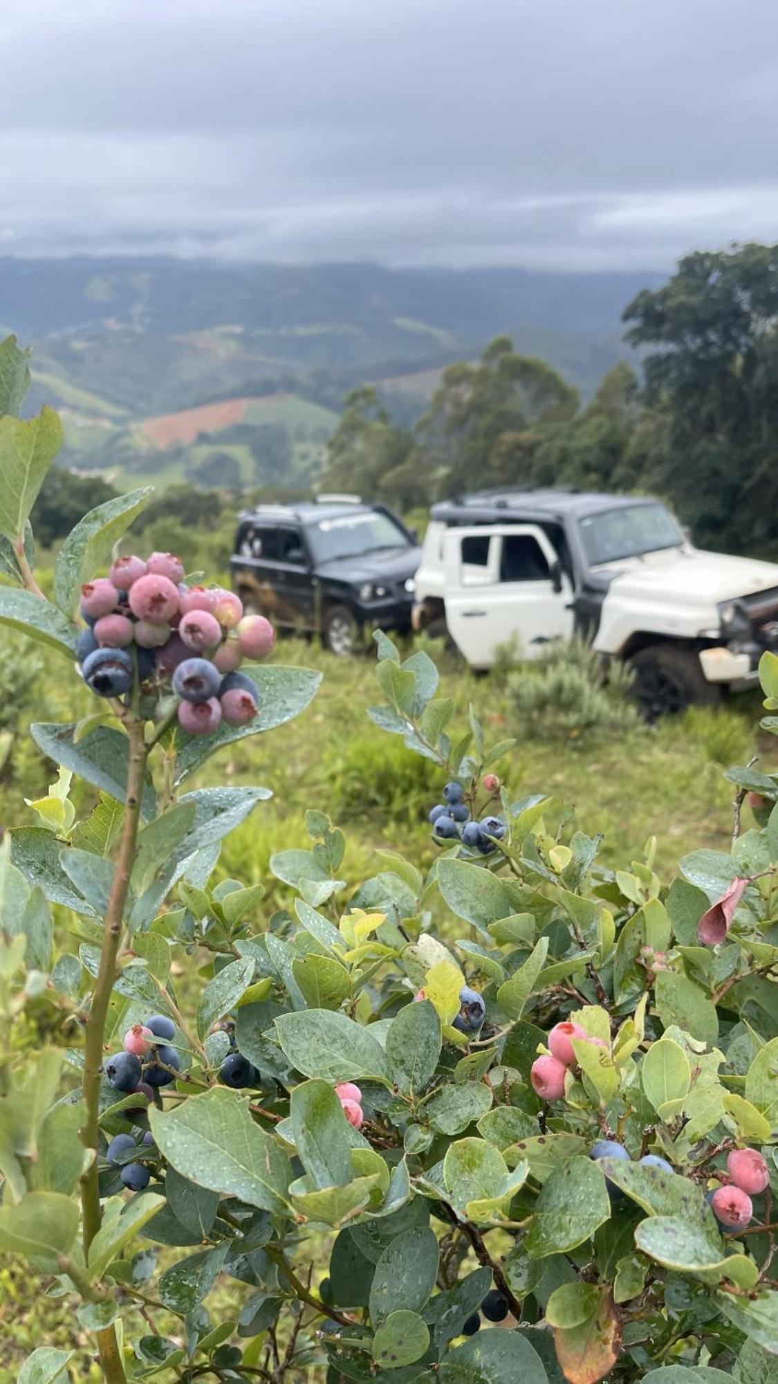 Montanha Home Monte Verde  Bagian luar foto